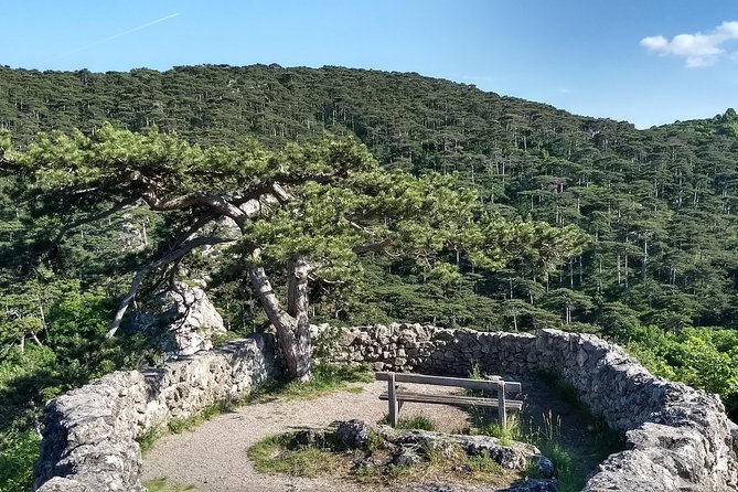2-Hour Private Hiking Tour on Kalenderberg Mountain to Meet History From Vienna - Pricing and Booking