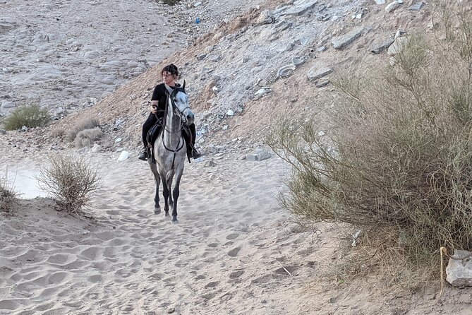 2 Hour Trail Ride to Little Petra-Morning or Sunset - Operator Information