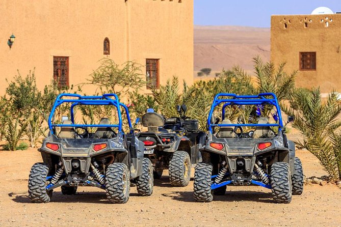 2 Hours Buggy in Palmeraie Marrakech - Participant Requirements