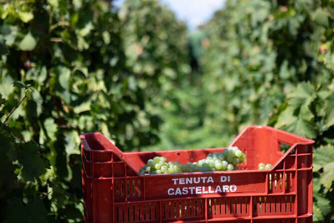 2 Hours of Classic Tasting in Sicily - Frequently Asked Questions