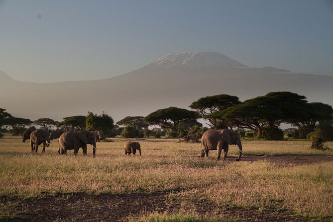2 Nights 3 Days Amboseli National Park - Itinerary Overview