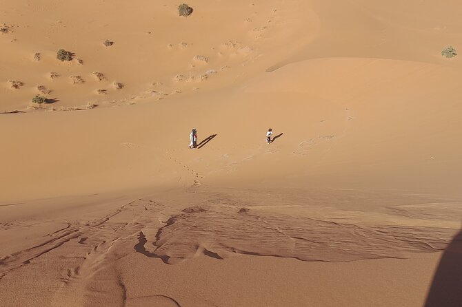 3 Day Journey in a Desert Splendors of Fes to Marrakech - The Sum Up