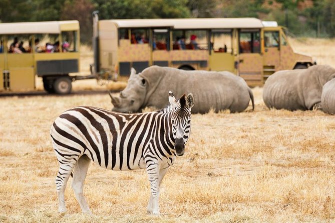 3-Day Maasai Mara Guided Safari From Nairobi - Important Details