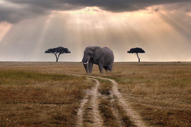3-Day Maasai Mara Safari From Mombasa - Accommodations