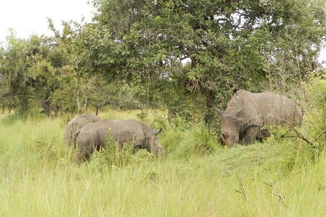 3-Day Murchison Falls National Park – Adventure Safari