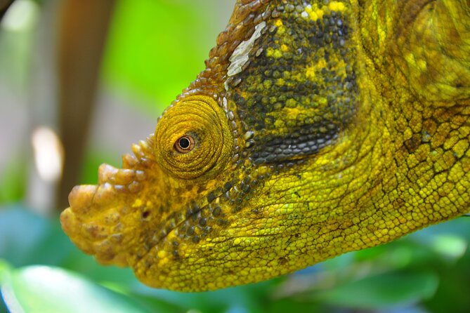 3-Day Private Tour to Andasibe National Park - Frequently Asked Questions