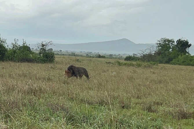 3 Day Queen Elizabeth National Park Budget Tour - Guide Information