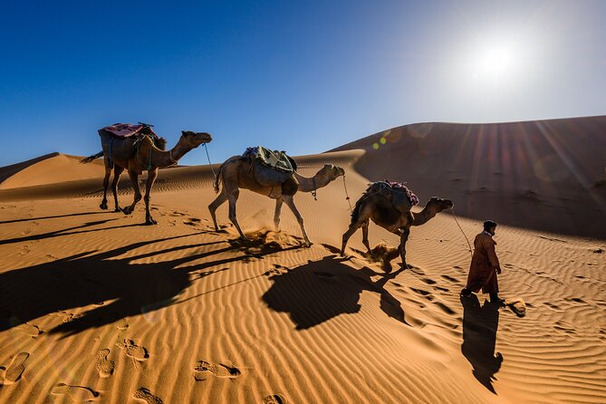 3-day Sahara Desert Trip From Marrakech - Accommodations and Meals