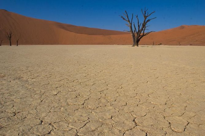 3-Day Sossusvlei Express Accommodated Safari From Swakopmund - Frequently Asked Questions