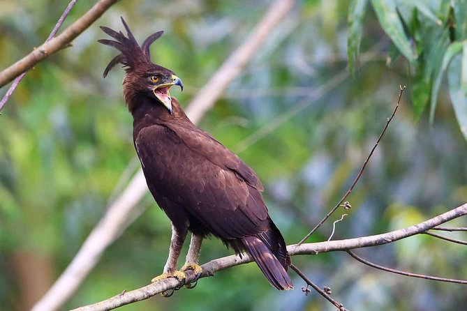 3-Day Tour to Queen Elizabeth National Park - Reviews and Ratings
