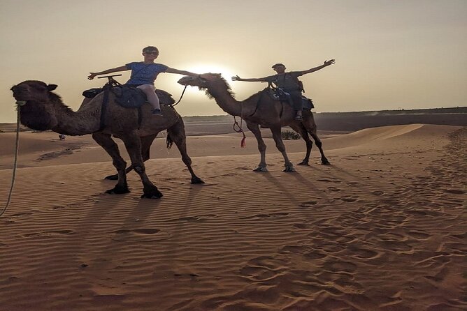 3-Day Trip From Fez to Marrakech via Merzouga Desert - The Sum Up