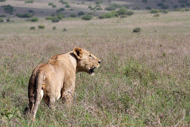 3 Days, 2 Nights Masai Mara Group Joining Safari - Frequently Asked Questions