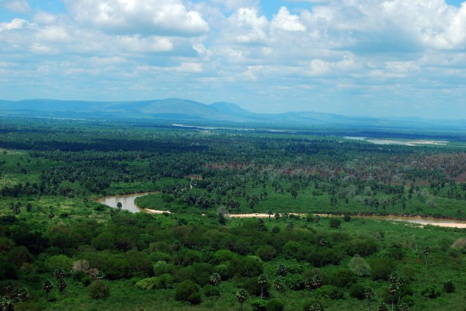 3 Days 2 Nights Nyerere National Park Lodge Wildlife Safari - Booking and Cancellation Policies