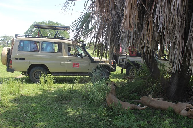 3 Days/2Nights Nyerere National Park Safari - Reviews and Ratings