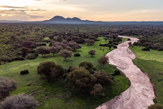 3 Days Nyerere National Park Safari (Selous Game Reserve) - Customer Reviews