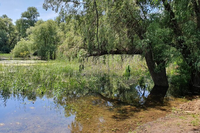 3 Days Private Tour to Danube Delta From Bucharest - Additional Information