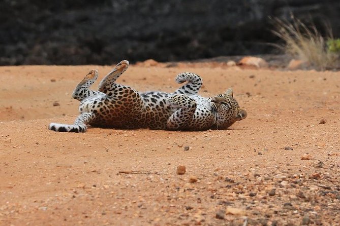 3 Days Tsavo East, Taita Hills Saltlick and Amboseli Kenya Safari - Amboseli National Park Adventure