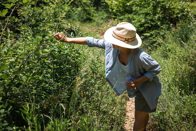 3 Days With Traditional Dances Lessons, Yoga and Feast in Pelion - Transportation and Meeting Points