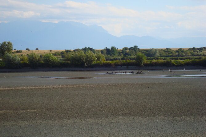 3-Hour Private Birdwatching in the Wetlands Near Brasov