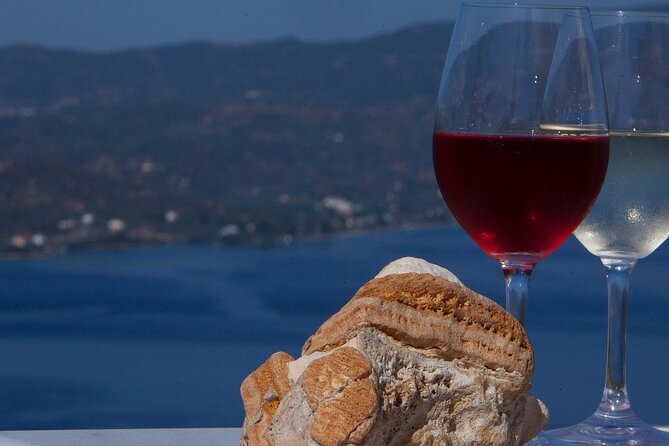 3 Hour Tour in Paros Wine Tasting - Service Inclusions