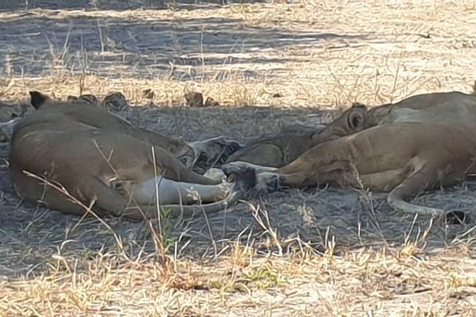 3 Nights Victoria Falls , Chobe Safari and Hwange National Park Safari - Cancellation Policy