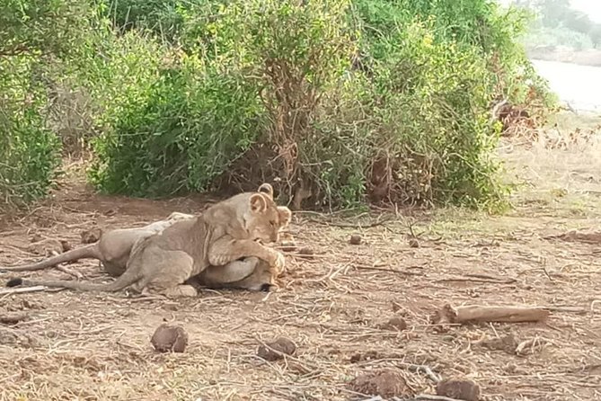 3Days 2 Night Samburu Shaba - Tour Itinerary
