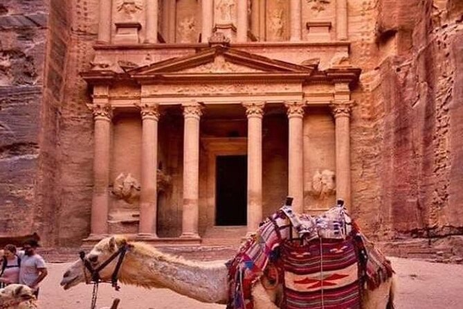 3Days Tour Petra & Wadi Rum From Amman, Dead Sea or Amman Airport - Contact and Support
