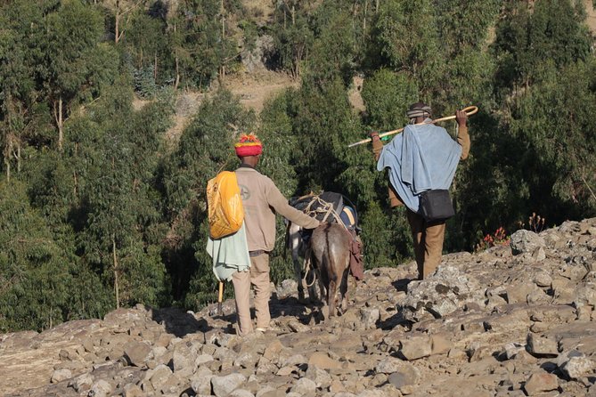 4-Day Abune Yosef Conservation Area Trekking Tour From Lalibela - Meeting and Pickup