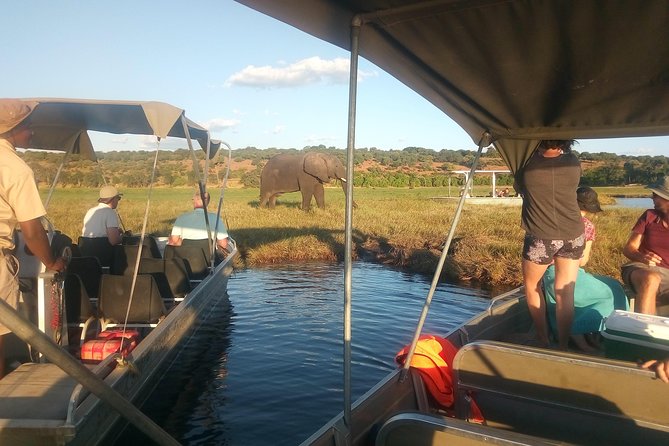 4-Day Discover Victoria Falls, Chobe and Hwange Park - Pricing and Reviews