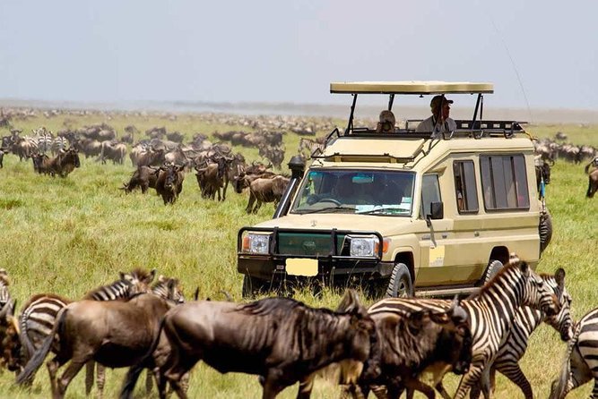 4 Day Lake Naivasha & Masai Mara Luxury Safari - Itinerary Overview