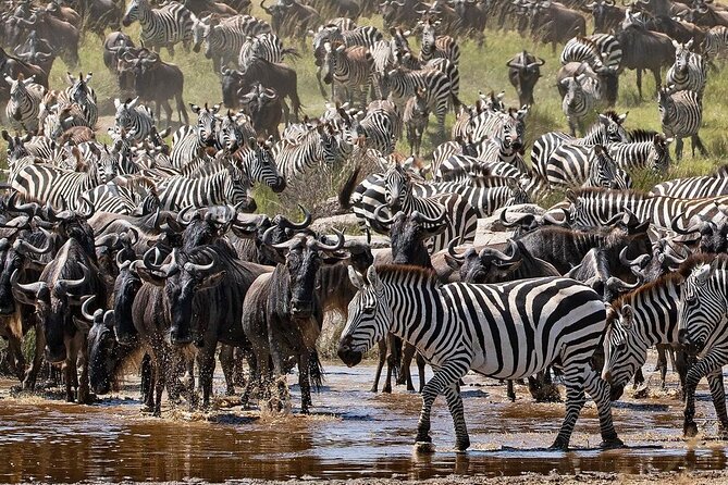 4-Day Northern Tanzania Camping Tour Safari
