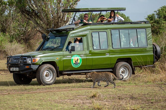 4-Day QENP, Gorillas in Bwindi and Lake Bunyonyi Relaxation - Important Information