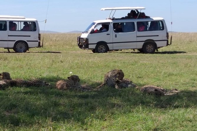 4-Day Small Group Maasai Mara and Lake Nakuru Safari Without Fees - Traveler Recommendations and Tips