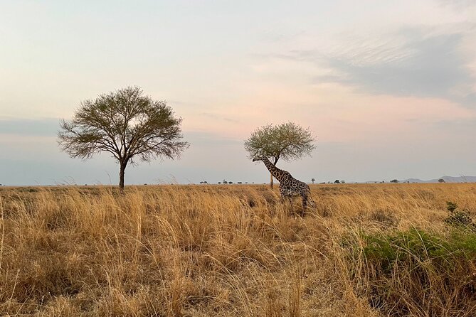 4 Days Ngorongoro Crater, Tarangire and Serengeti National Park - Cancellation Policy