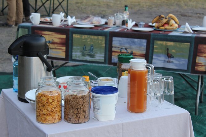 4 Days Okavango Delta Experience - Booking Information
