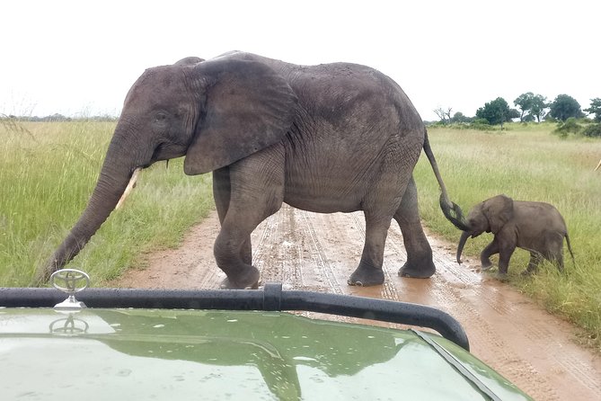 4 Days Safari to Mikumi NP and Udzungwa Mountain NP Mid - Range Accommodation - Additional Information Needed