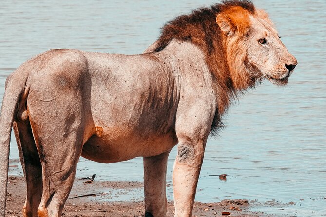 4 Days Selous Game Reserve Wildlife Encounter Safari - Packing List Essentials