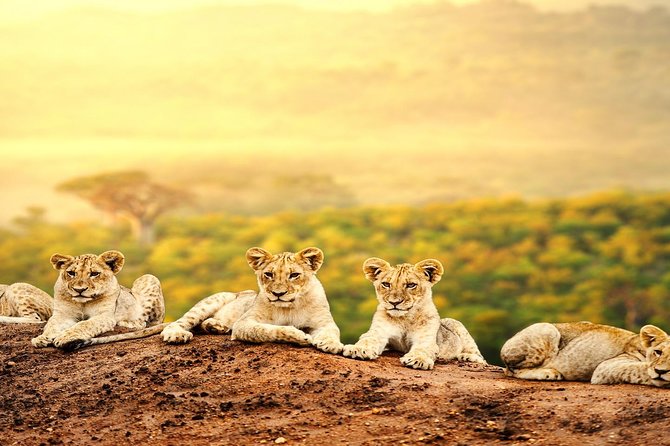 4 Days Tsavo East National Park, Amboseli & Taita Hills Wildlife Sanctuary - Day 3: Taita Hills Wildlife Sanctuary