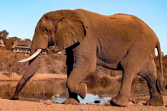 4 Days Victoria Falls Safari Tour & Chobe National Park Game Drive - The Sum Up