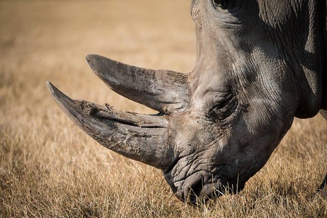 4 Tanzania Classic Safari - Accessibility and Requirements