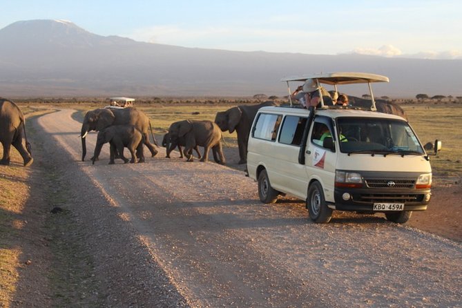 4days Masai Mara and Lake Nakuru Group Joining Budget Safari - Confirmation and Accessibility