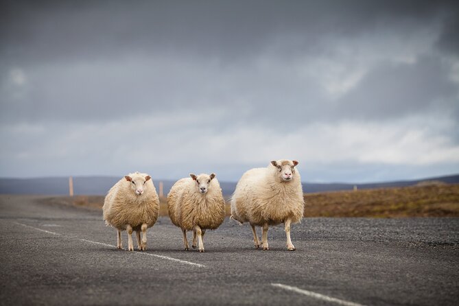 5-Day Iceland Stopover Package - Booking Information