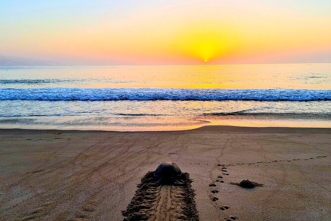 5 Days 4 Nights Oman Package Tour Mohammed - The Sum Up