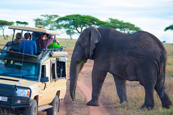 5 Days Lodge Safari. - Frequently Asked Questions