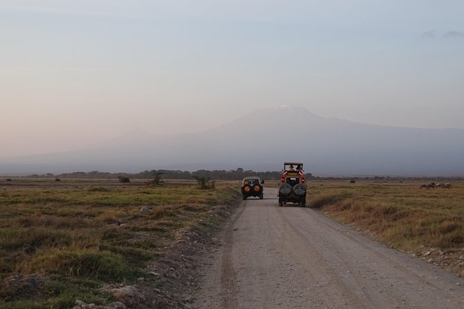 5 Days Safari Tsavo East Voyager Ziwani Amboseli Tsavo West Kilanguni Serena Ldg - Meals Provided During the Safari