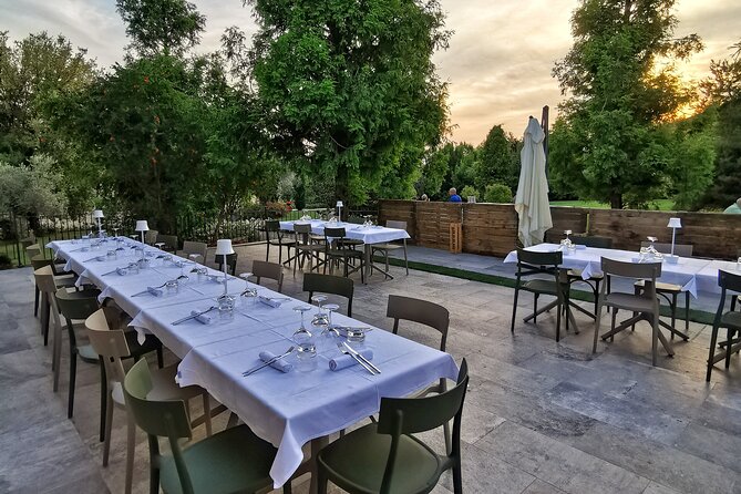 5-Hour Food and Wine Tasting in Modena - Customer Reviews