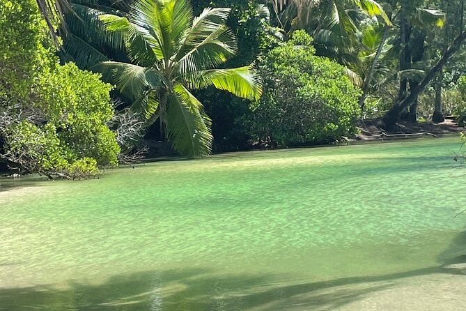 5 Hour Private Customize Tour of Mahe, Seychelles - Tour Highlights