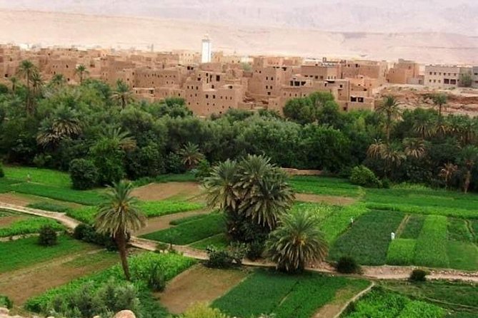 5 Luxury Days Tour Fez to Marrakech via Desert - Accommodation Details
