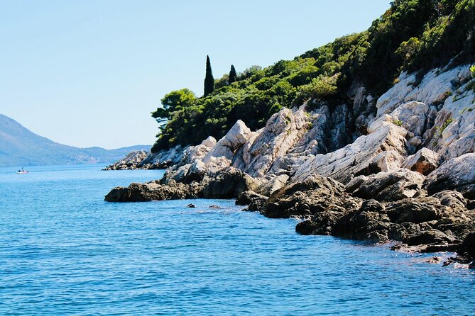 50-Minute Panoramic Cruise of Dubrovnik With English Audio Guide - Customer Reviews