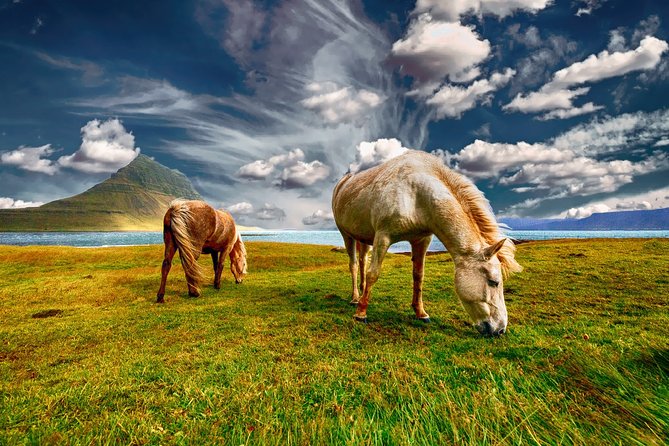 5Day Pirvate Tour of ICELAND From Reykjavik - Cancellation Policy